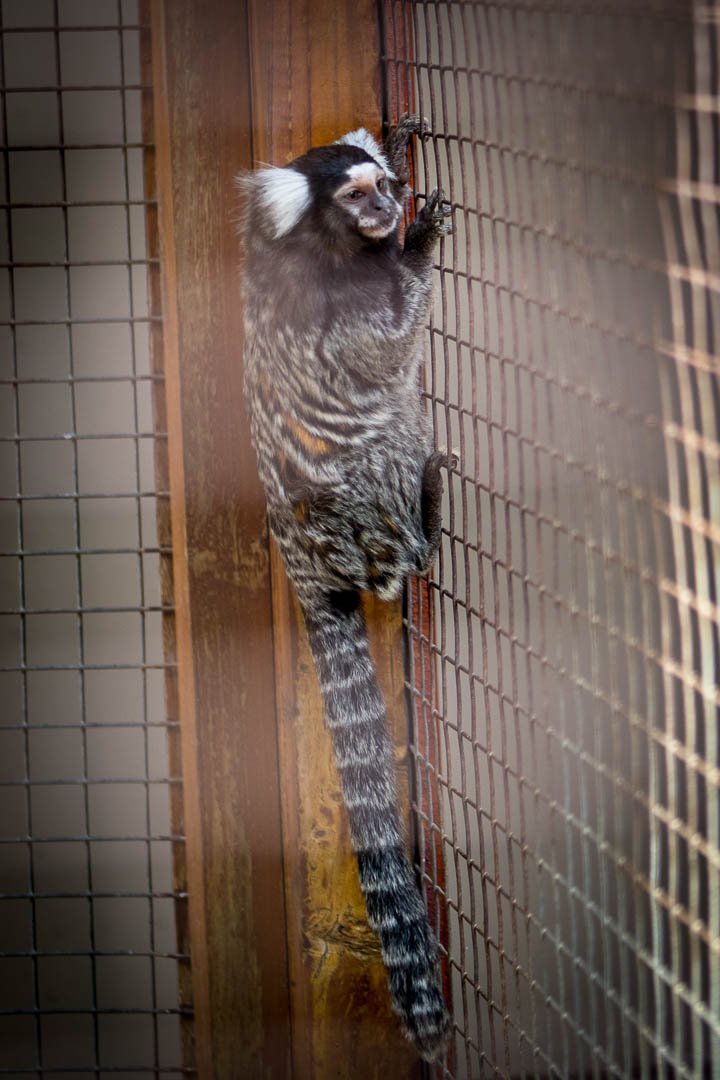 Commercial Property for Sale in Robertson Western Cape
